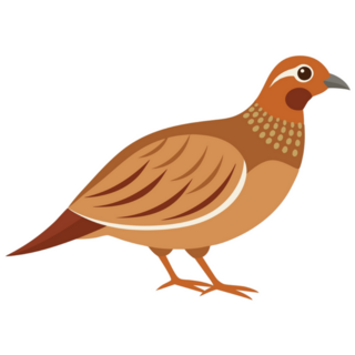 Partridge Bird Cartoon Sticker