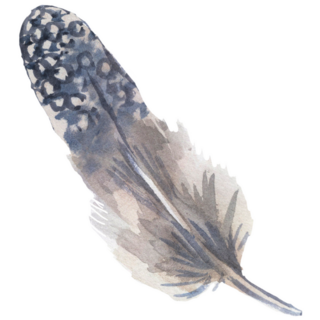 Partridge Bird Feather Sticker
