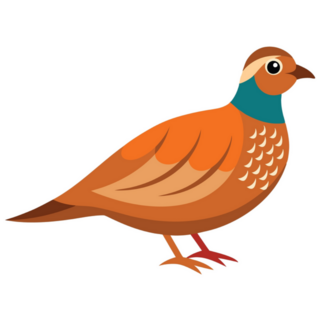 Partridge Bird Sticker
