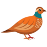 Partridge Bird Sticker