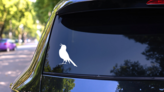Partridge Chirping Sticker on a Rear Car Window (New) example
