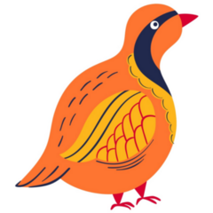 Partridge Cute Illustration Sticker