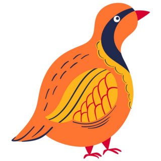 Partridge Cute Illustration Sticker