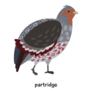 Partridge Illustration Lettering Sticker