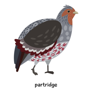 Partridge Illustration Lettering Sticker