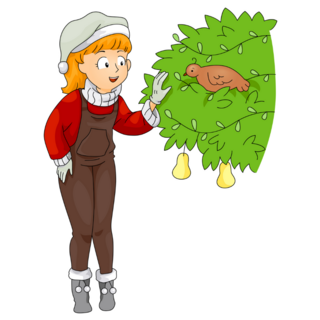 Partridge In A Pear Tree Woman Sticker