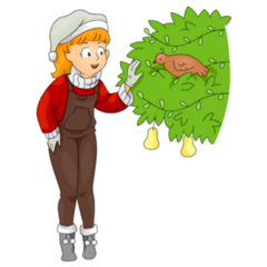 Partridge In A Pear Tree Woman Sticker