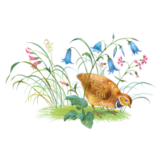 Partridge In Wild Flowers Sticker