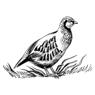 Partridge Ink Retro Sticker