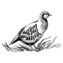 Partridge Ink Retro Sticker