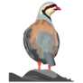Partridge On Rock Sticker