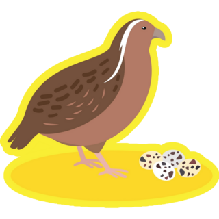 Partridge Stands With Eggs Sticker