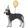 Party Saluki Sticker