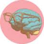 Pastel Retro Pop Art Human Brain With Eye Glasses Sticker