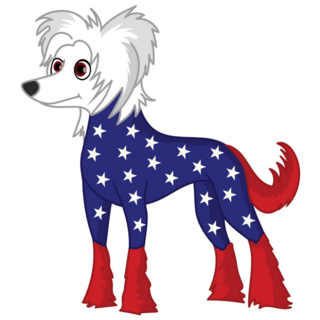 Patriotic Chinese Crested Sticker