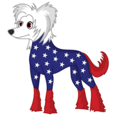 Patriotic Chinese Crested Sticker