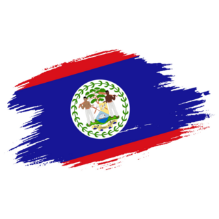 Patriotic Of Belize Flag In Brush Sticker