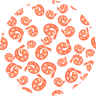 Pattern From Hand Drawn Shrimps Sticker