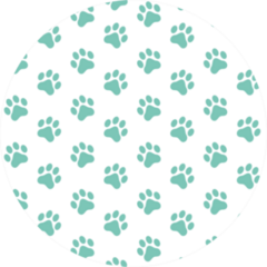 Pattern Of Animal Paw Print Mint Color Sticker