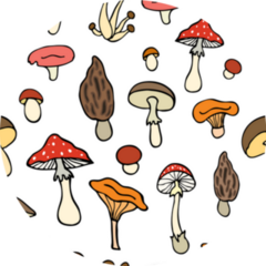 Pattern With Bright Colorful Mushrooms Sticker