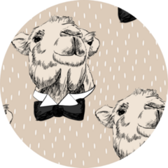 Pattern With Camel On A Beige Background Sticker