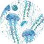 Pattern With Detailed Transparent Jellyfish Sticker