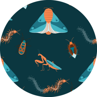 Pattern With Insects And Praying Mantis Sticker