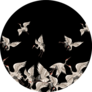 Pattern With Japanese White Cranes In Different Poses In Black Sticker