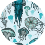 Pattern With Sea Jellyfish Sticker