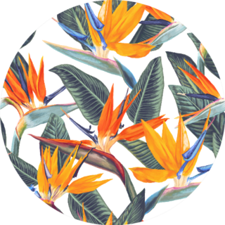 Pattern With Tropical Flowers Bird Of Paradise Sticker