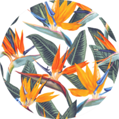 Pattern With Tropical Flowers Bird Of Paradise Sticker