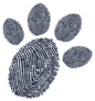 Paw Print Finger Print Design Sticker