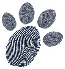 Paw Print Finger Print Design Sticker