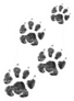 Paw Print Isolated On White Sticker