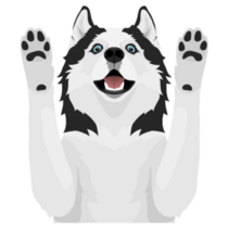 Paws Up Husky Sticker