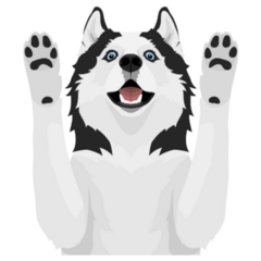 Paws Up Husky Sticker