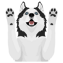 Paws Up Husky Sticker