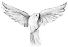 Peace Bird, Dove Watercolor Drawing Sticker