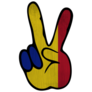 Peace Sign Chad Flag Sticker