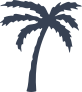 Peaceful Palm Tree Sticker