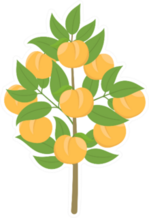 Peach Tree Sticker