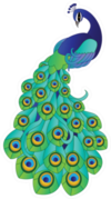 Peacock Cute Cartoon Sticker