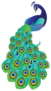 Peacock Cute Cartoon Sticker