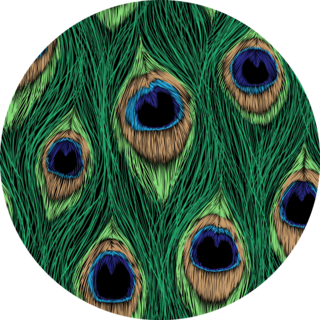 Peacock Feathers Close Detailed Pattern Sticker