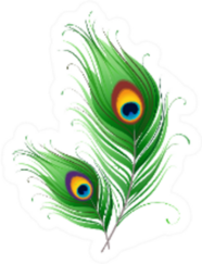 Peacock Feathers Illustration Sticker