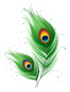 Peacock Feathers Illustration Sticker
