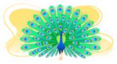 Peacock Flat Colorful Illustration Sticker