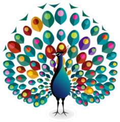 Peacock Illustration Sticker