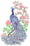 Peacock In Blossoms Isolated In White Background Sticker