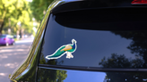 Peacock On White Background Hand Drawn Sticker on a Rear Car Window (New) example